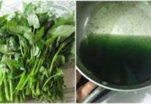 Nước luộc rau muống chuyển màu xanh đen có ăn được không hay đổ đi? Chuyên gia nói sự thật